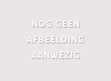 Afbeelding 139