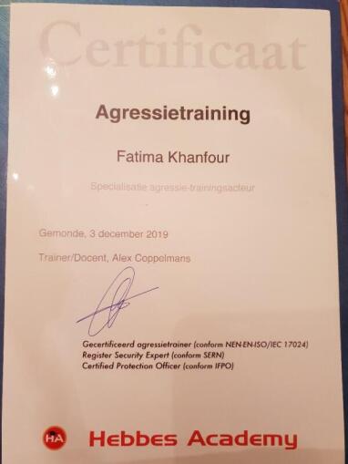 Aggressive Training Certificaat